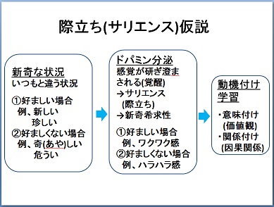 際立ち(サリエンス)仮説