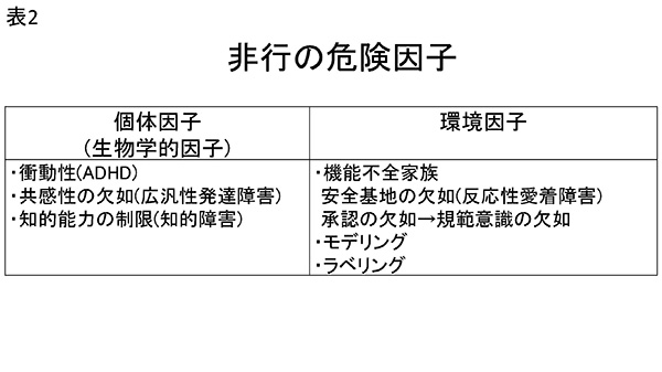 表2　非行の危険因子